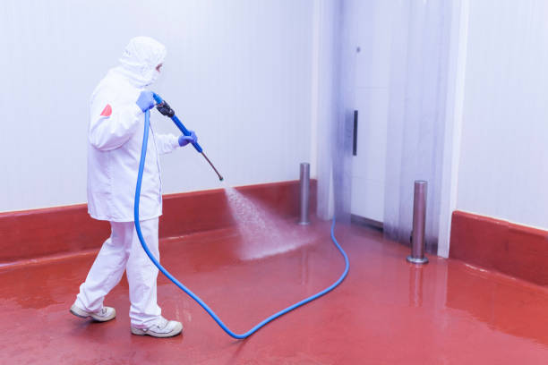 Best Paint Preparation  in Dawson, TX